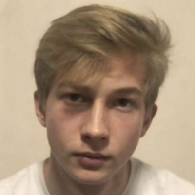 Голодников Роман Импульс