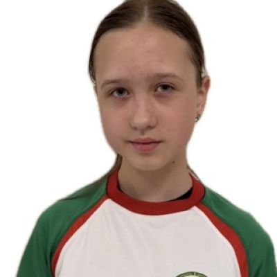 Анисимова Елизавета Лицей №186