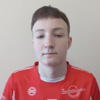 Ларин Роман Труд