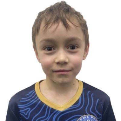 Михайличенко Марк Трудовые резервы