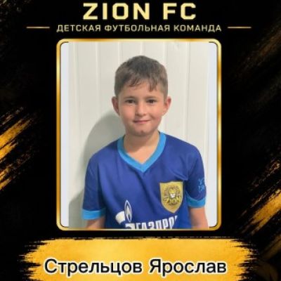 Стрельцов Ярослав ФК ZION