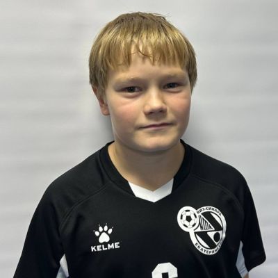 Крутиков Григорий ВИЗ