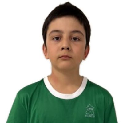 Шакиров Амир Лицей Алгоритм