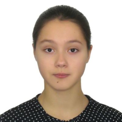 Ивлиева Ирина Московский государственный университет имени М.В. Ломоносова