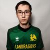 Исмагилов Амир Landragons