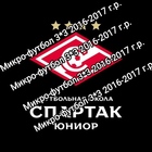 Открытое Первенство Спартак Юниор 2016-2018 г.р.