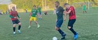 Турнир по мини-футболу памяти преподавателя ФФКиС Аникина А.И.