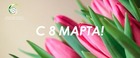 С Международным женским днем 8 марта