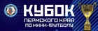 Кубок Пермского края по футзалу