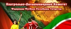 Итоги Контрольно-дисциплинарного комитета ФФ РТ