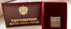 Минспорт изменил правила присвоения спортивных званий и разрядов по футболу