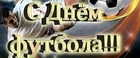 Новосибирская областная федерация футбола поздравляет со Всероссийским днём футбола