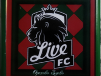 FC LIVE  - Звягино