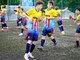 Фото к матчу СШ по футболу-ФК Коломна - СШОР Олимп