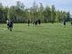 Фото к матчу ФК Сокол - Верзилово