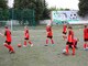 Фото к матчу СШ по футболу ФК Коломна-1 - СШОР Витязь-2