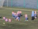 Фото к матчу СШ по футболу ФК Коломна-2 - Сокол