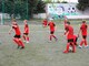 Фото к матчу СШ по футболу ФК Коломна-1 - СШОР Витязь-2
