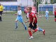 Фото к матчу СШ по футболу ФК Коломна-2 - СШ Витязь им. В.И. Васильева-2