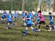 Фото к матчу СШ по футболу ФК Коломна - ФК Витязь